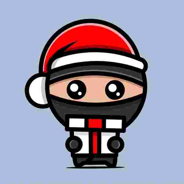 ninja character christmas hat gifts 600nw 2036043275 1